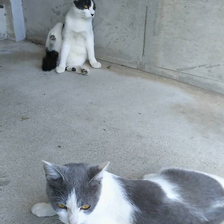 Fe2d3786 8f02 4851 b937 55263382162d 1538542281685