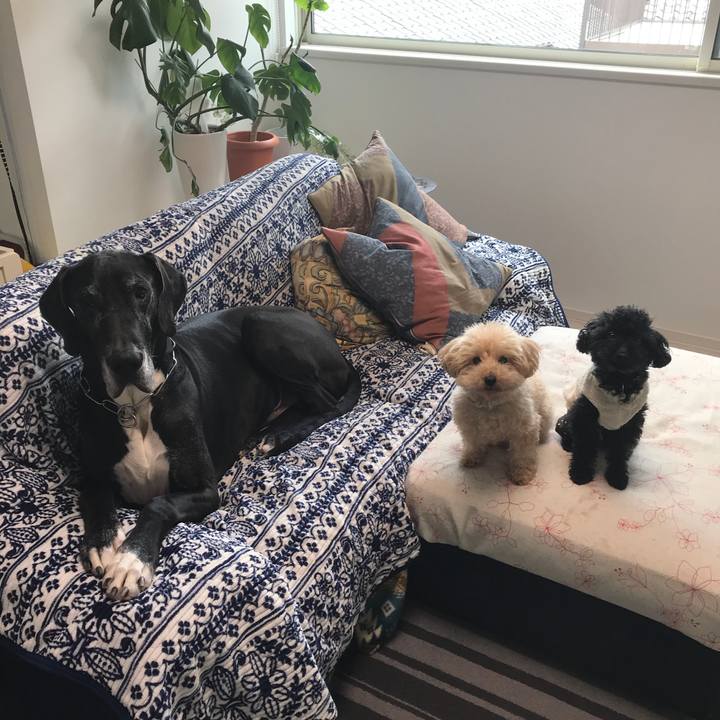 Fe2d64a8 3f33 4502 a068 134f3b0c29ee 1521759353186