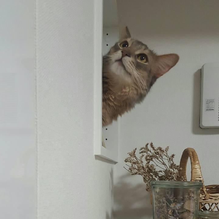 Fe2daa69 21f4 49b3 906e a87ac1da6eac 1518519818134