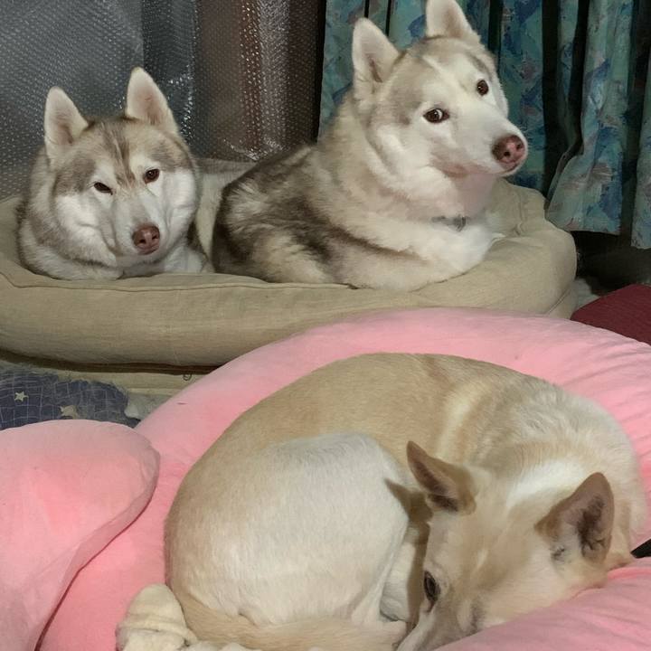 Fe2dc54b 87f6 46cc aaff 76eba8966a23 1676120165719