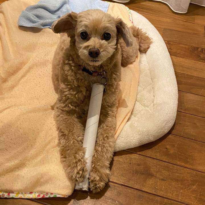 Fe2dc949 11c0 4284 93e4 70a14180d1d7 1615631514959