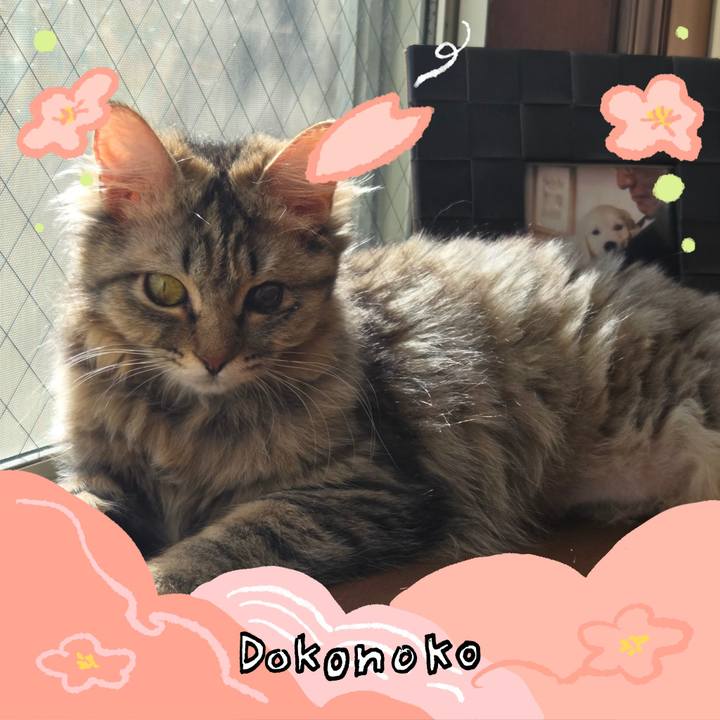 Fe2dfc0d ff34 4ac0 88a2 56883d5be478 1775192497890