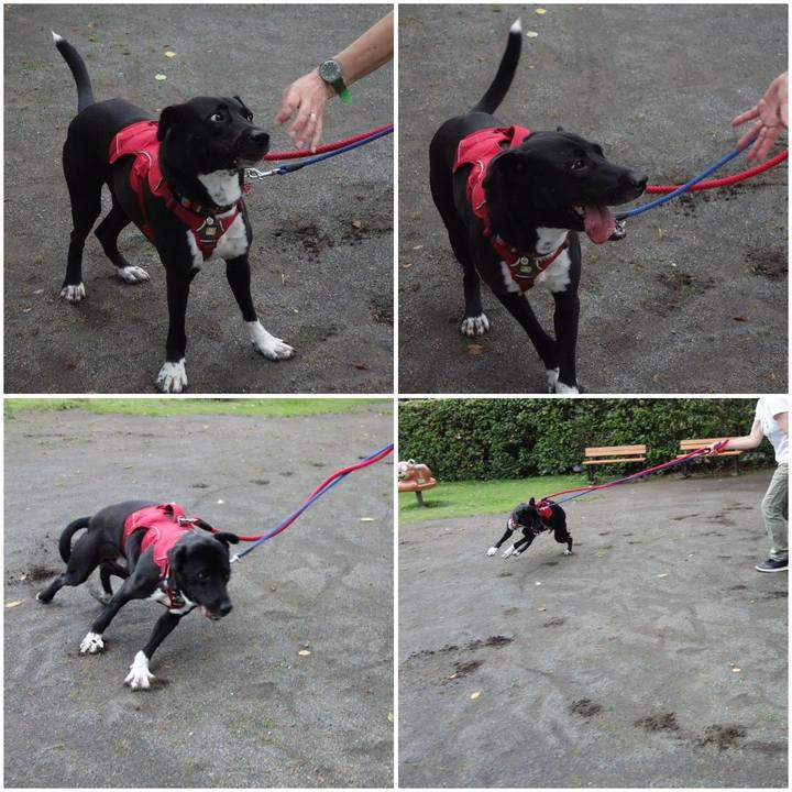 Fe2e3097 e140 455c 96a7 60ccd3af9eb2 1593079980247