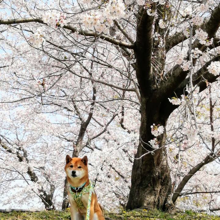 Fe2e30bf b6f9 49e9 b7e4 163d7dabe492 1616729762802