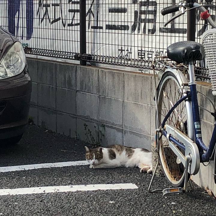 Fe2e3889 4ced 4589 a0f8 b80f17c627bb 1583804367567