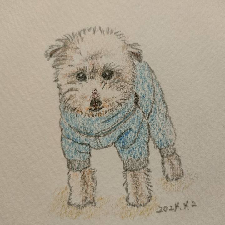 Fe2e6b2c 2584 4383 a23b a5a439a5f946 1712025331980