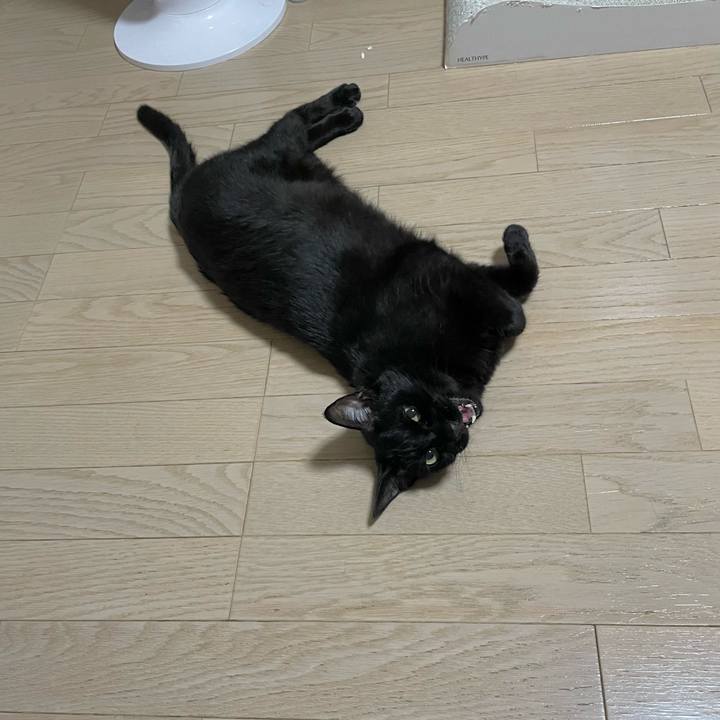 Fe2e8002 1f36 4b0c bc07 353bd3af9a78 1755606223490