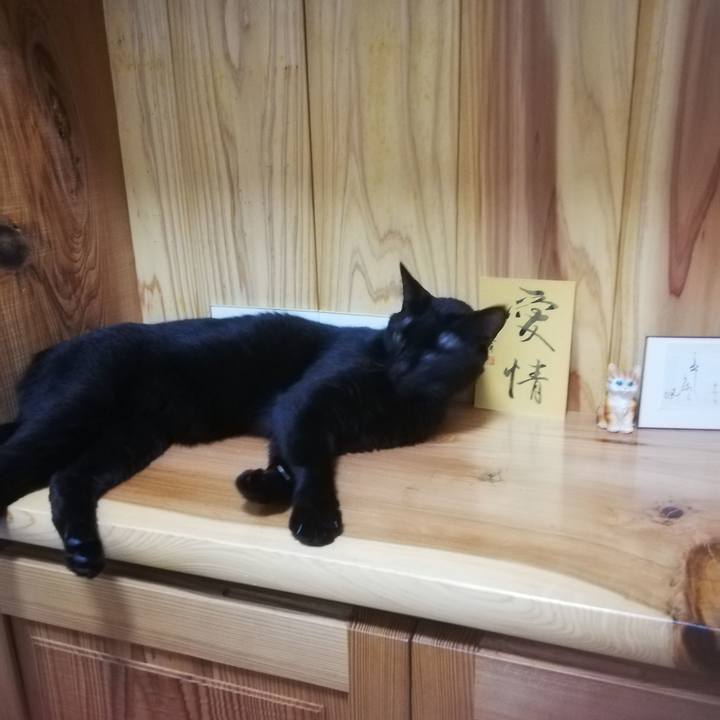 Fe2e8fbe 90c5 4318 94a9 bd0de4a9aa6a 1662466674551