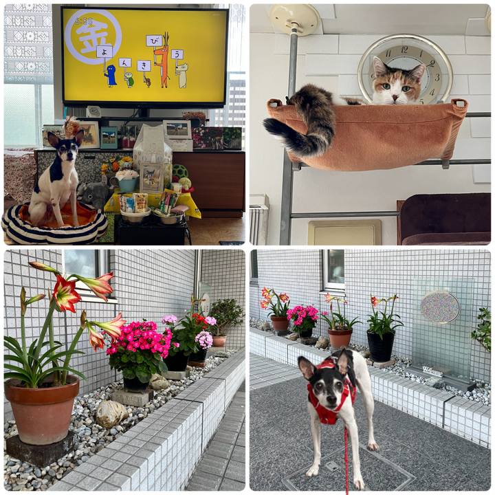 Fe2ec05b 32a2 4f33 bbba 458ffc819f6f 1683842491202