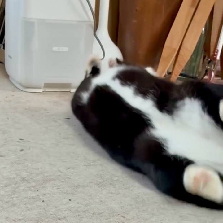 Fe2ec6c6 3a40 4c39 a250 a12ee065bace 1762919486343