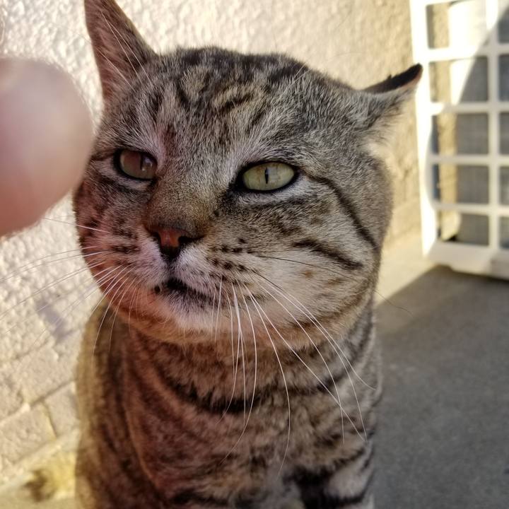 Fe2ed2f1 db65 4fcd b455 31ec3847ee90 1615535450582