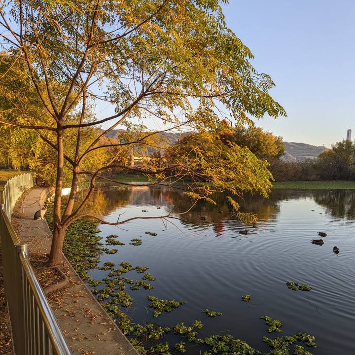 Fe2efd00 f8e3 4996 9ab0 6ea1b8ab2cda 1669623550459