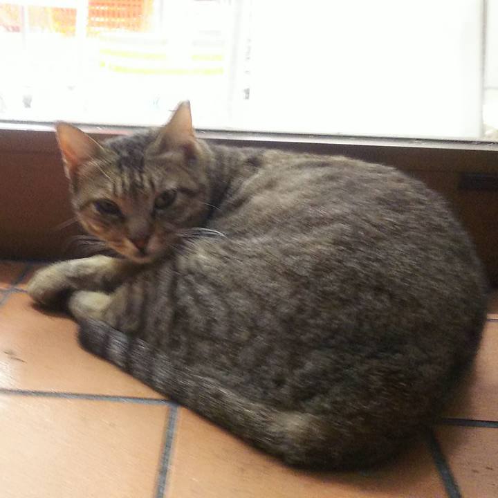 Fe2f120e 2bf0 471c b51d 5a915d5bfe00 1568198809017