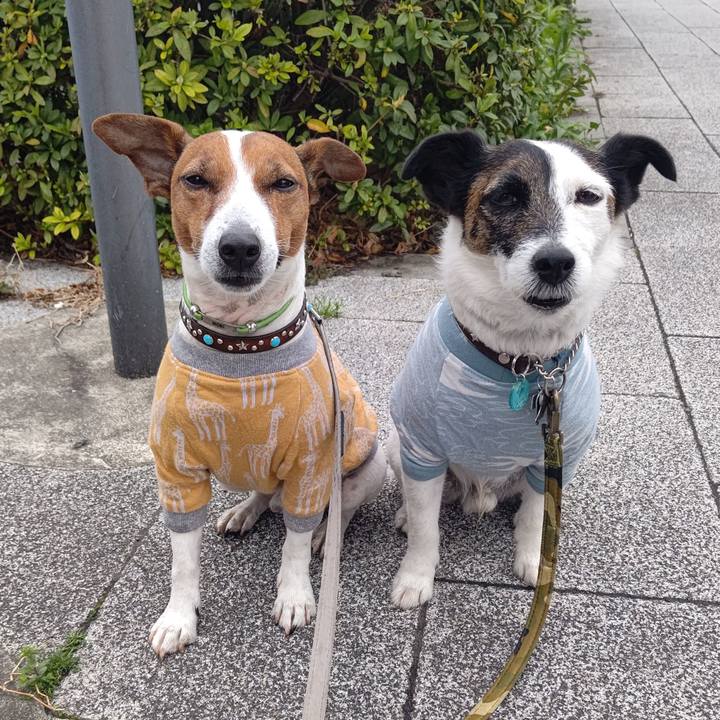 Fe2f392a ca1d 4410 86bc a3d03945915d 1679523239810