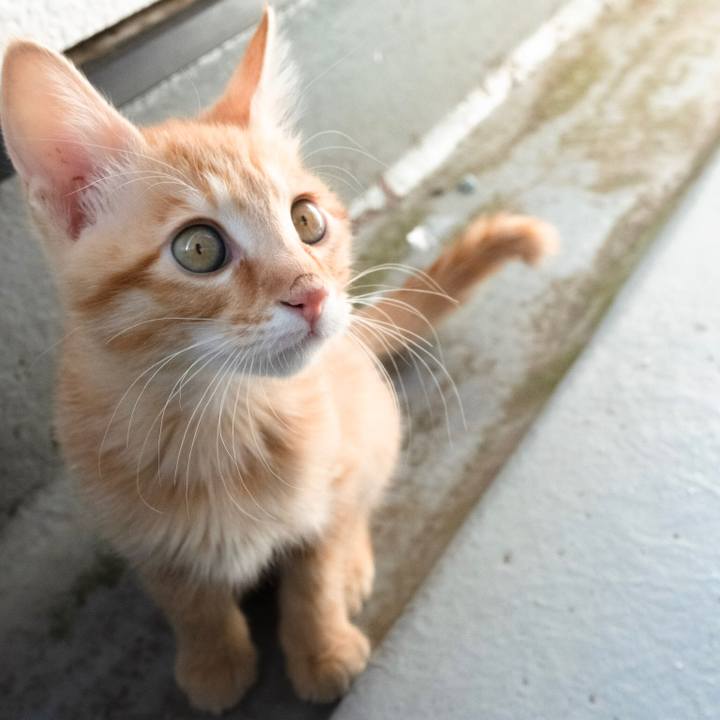 Fe2f3a97 6b14 4d2b a566 da40424b9128 1574431827338