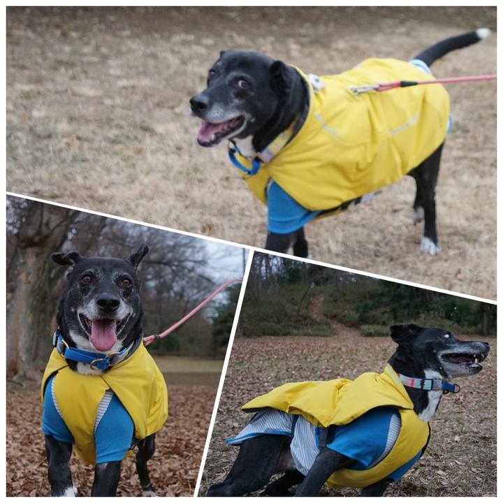 Fe2f4070 f454 4a39 8531 9cc01cf033ca 1767745304156