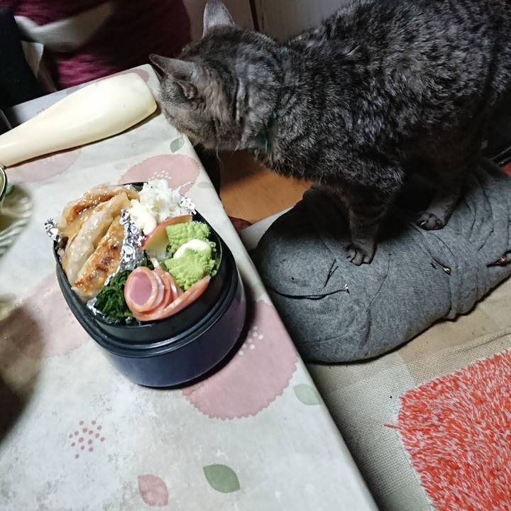 Fe2f5986 b78b 4353 9bd8 24937734d764 1576188026744