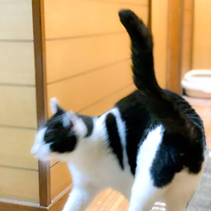 Fe2f6387 9de4 4395 967f ca948092c013 1593397307041