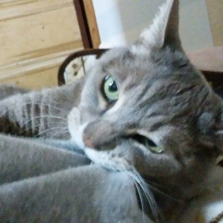 Fe2f8f5b 155a 4943 a61d 6ce0cf73b06d 1579619611457