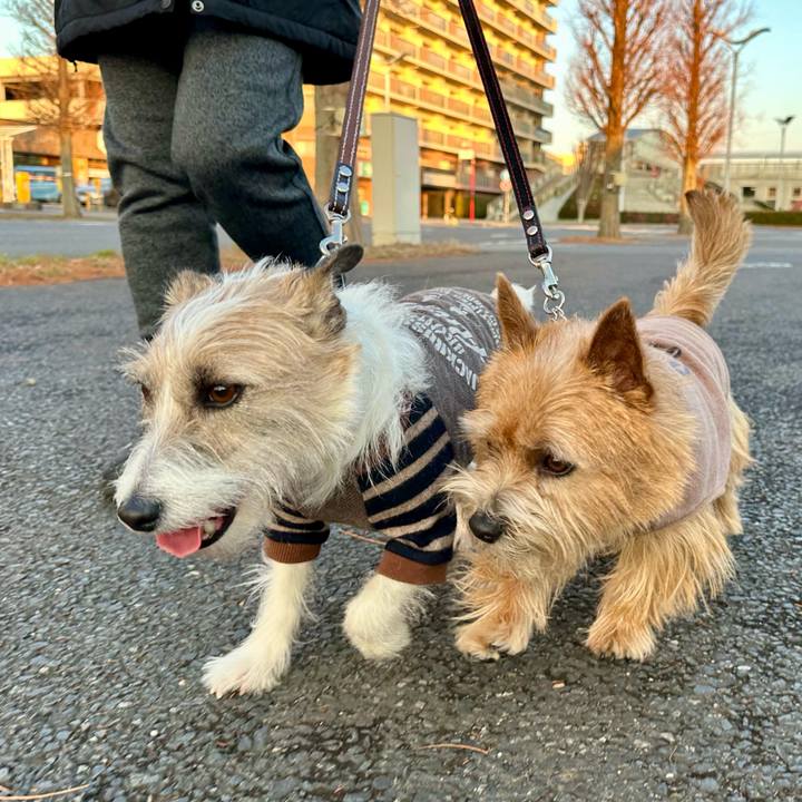 Fe2fc560 9fc1 4d9a aebf 4d1d3f76175c 1737813672442