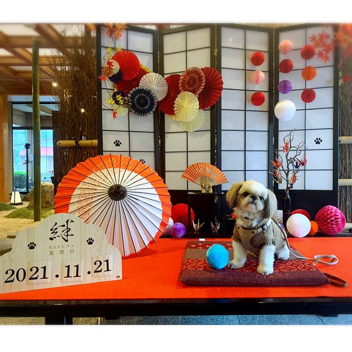 Fe2fcc55 047b 4311 8433 93c19ecfac13 1637542497433