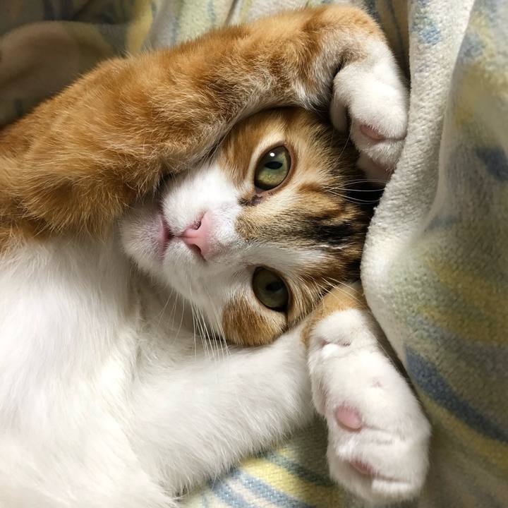 Fe2fdfbc 1bdc 434b 8a56 149331c66ca4 1516276767048