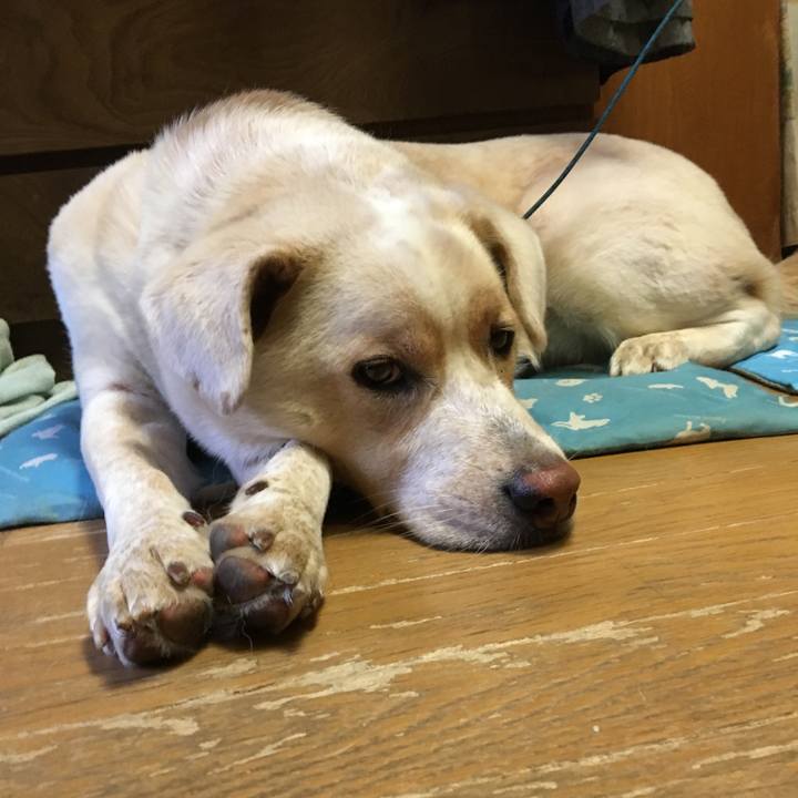 Fe3023b1 6285 4aae a4b2 acb3cf2562d8 1507890703720