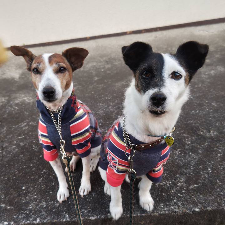 Fe30367f 3d8c 4993 bdb5 8977664245f8 1764453383584