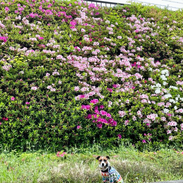 Fe3048ee e727 4dc9 8581 b127bbd7d6e3 1652084281520