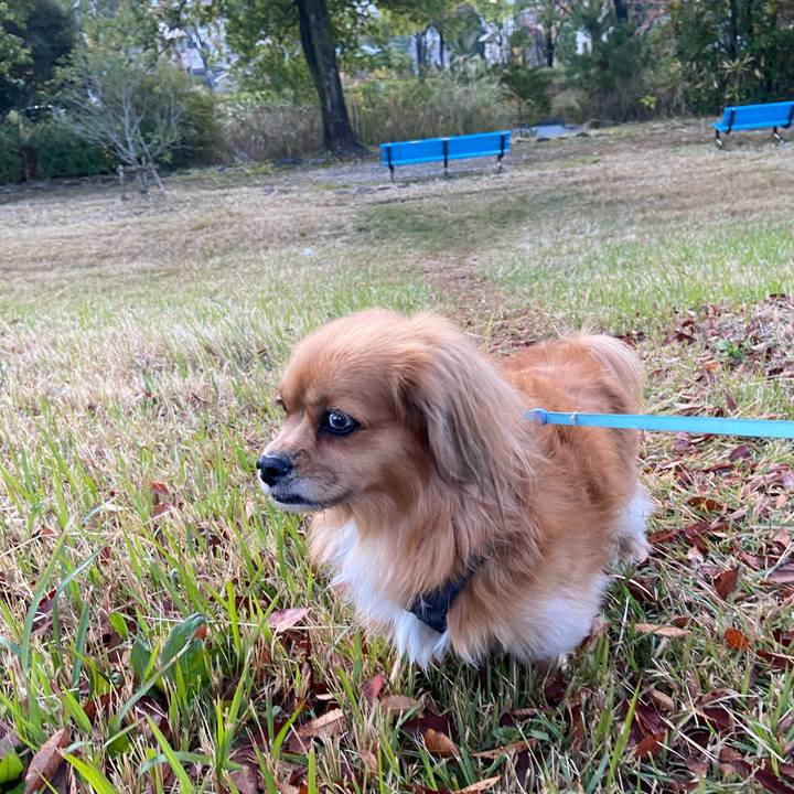 Fe309cb6 bfc1 47be a0d8 9a5f7539fe47 1605478121688