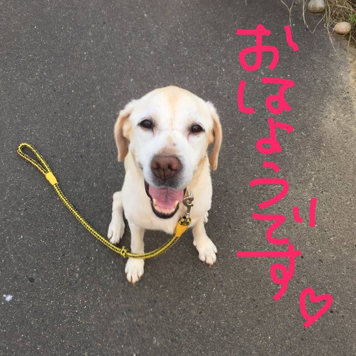 Fe30a21e 8b81 486c 90ad 04c760d22d51 1588381040093