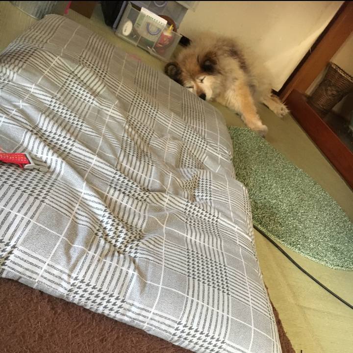 Fe31098c 4e10 4730 8da4 5fc3c0e24d23 1587602411080