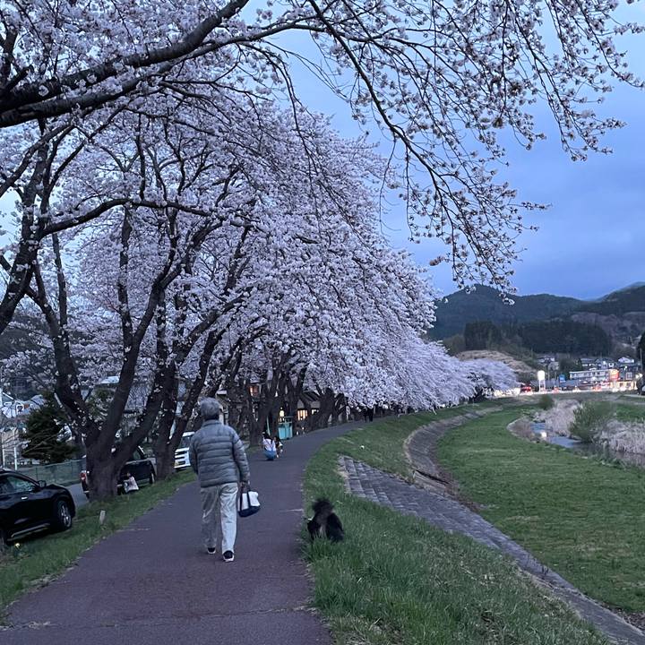 Fe313071 a771 448a 9e5a 5f505b3c2c42 1649845277217