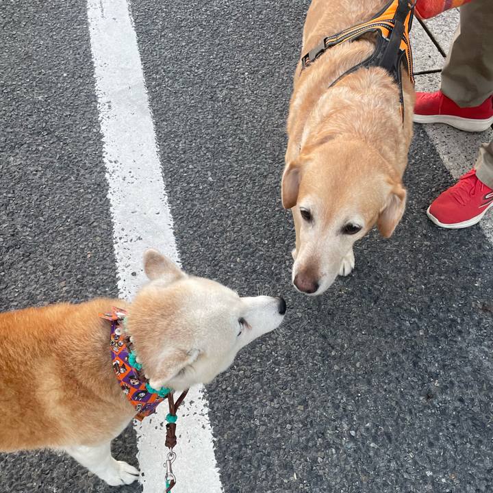 Fe3140c3 2a9b 4e38 9d0d c9af74bb70cc 1697196702877