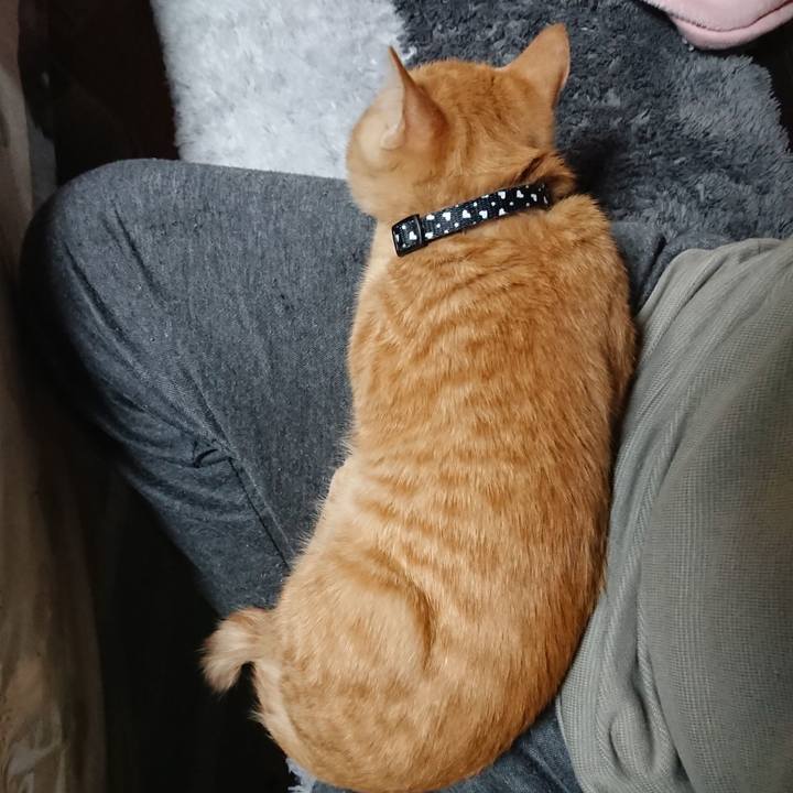 Fe31522c 1311 4602 82de 58737daa42e7 1633947718028