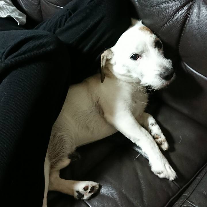 Fe318eed 5e39 4360 81ea a24f86d0e176 1536881585117