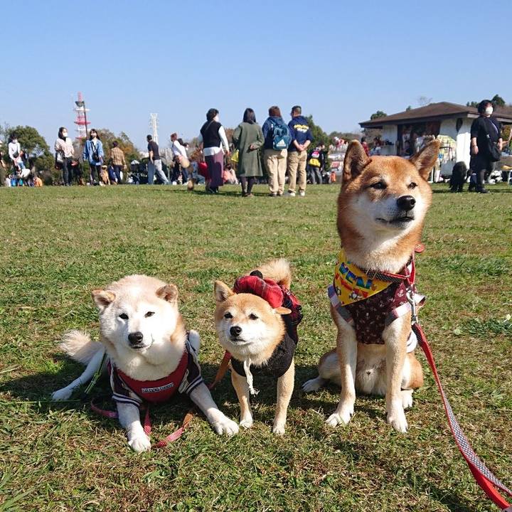 Fe31a251 97ff 45a9 a40d b03fde232186 1605348758780