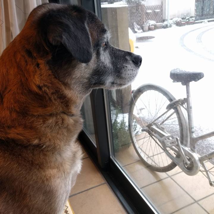 Fe31c68d 594e 4843 ad94 acad7c16d398 1516595658403