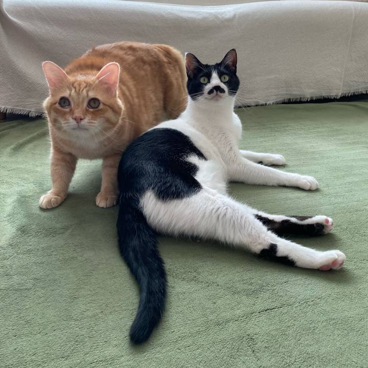 Fe31c94f 55ab 40e1 ad55 772b5c697ca6 1770330734796