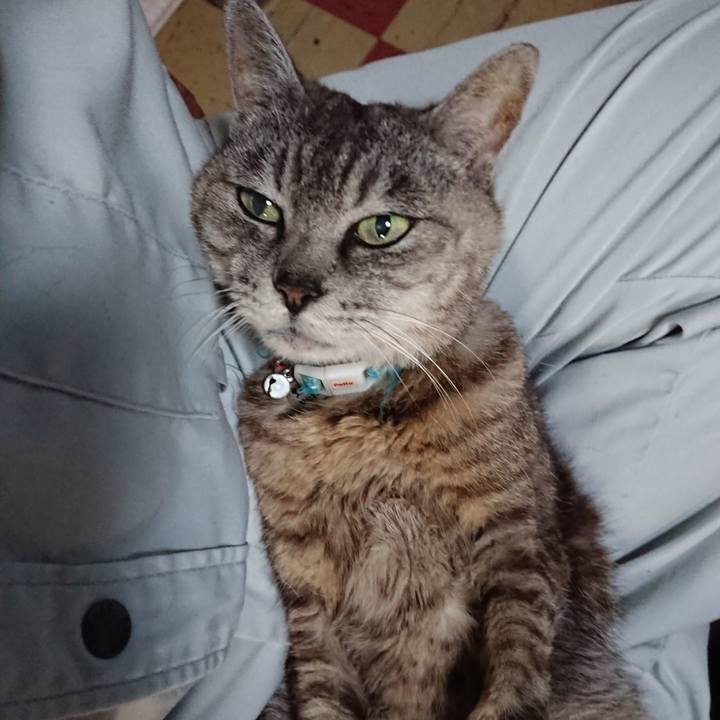 Fe31dbb4 a29e 4dd3 a1b5 f08938a05c6d 1566338261313