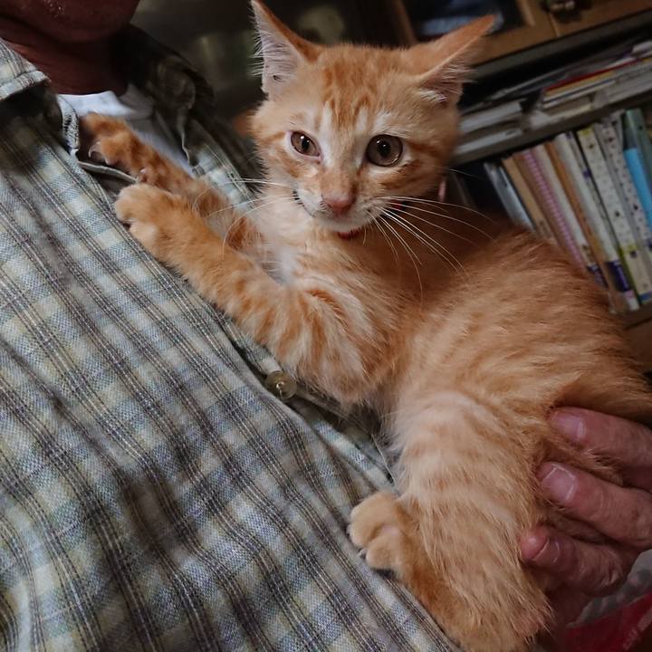 Fe321f15 f328 4ae2 9de3 c4840c878d0d 1630324988710