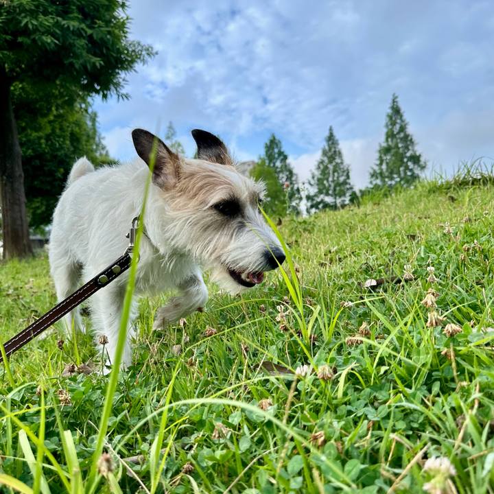 Fe326591 3f88 4eda bc6f 262c1d4279e8 1750321655620