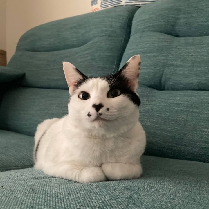 Fe32a13f 8501 4261 8f00 6beb3bddf60b 1759284665777