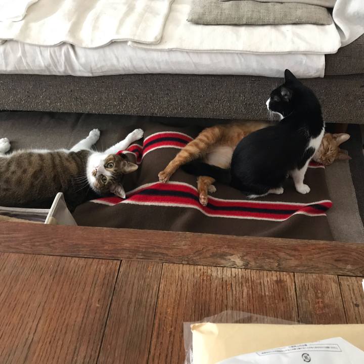 Fe32aaf7 e75d 4734 93d2 aef62a990fab 1548423654162