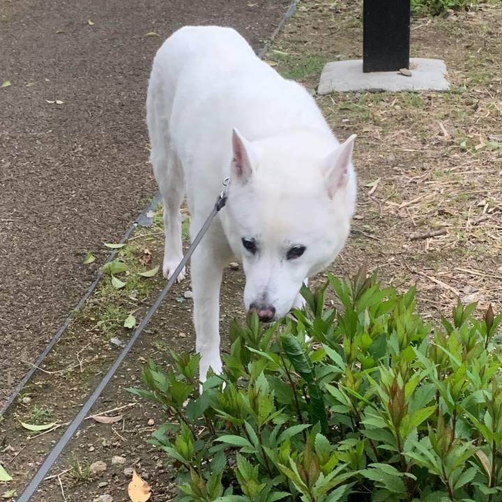 Fe32bf58 8ad9 4001 90b8 0585d9bb99ec 1556620241115