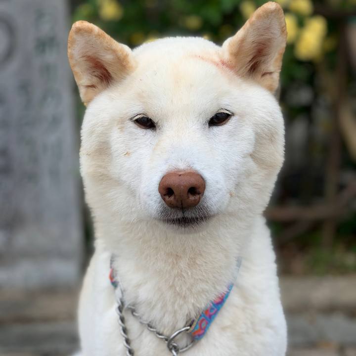 Fe32f6d9 a49d 401e 901a cbb4e8df4043 1652573835761