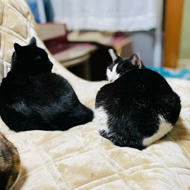 Fe33038d b1bf 4610 81ab b947d38c93ac 1643594354748