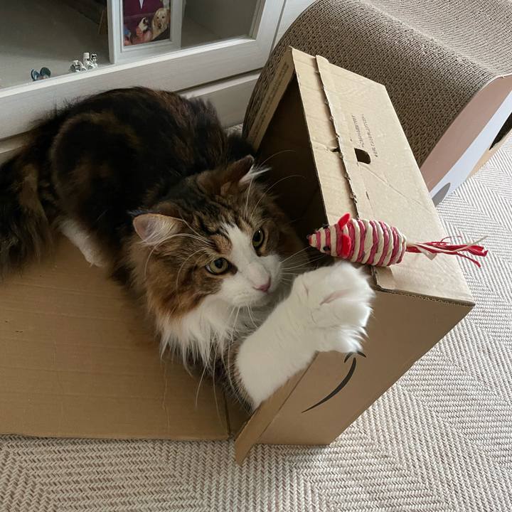 Fe3332d7 3d74 4cec b340 03272b0f0934 1658570661650