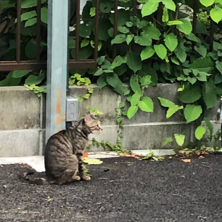 Fe33377e 77cb 40b1 9d01 1cf17aaa6453 1532203289563