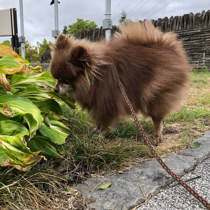 Fe335d40 a737 49d0 a113 6f1f1da67ed4 1628660061006